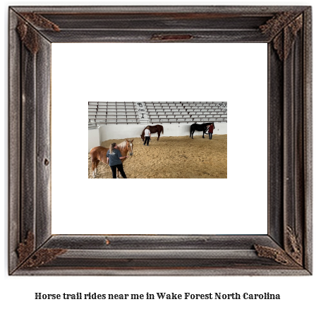 horse trail rides near me in Wake Forest, North Carolina